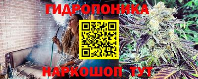гашик Малгобек