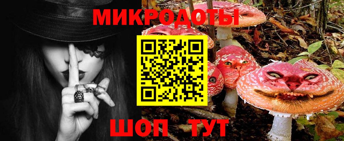 дарнет шоп  Вход с VPN  Волгоград  Псилоцибиновые грибы Psilocybine cubensis  Галлюциногенные грибы прущие грибы 