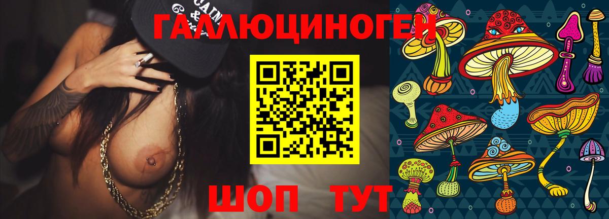 Галлюциногенные грибы Psilocybe Волгоград